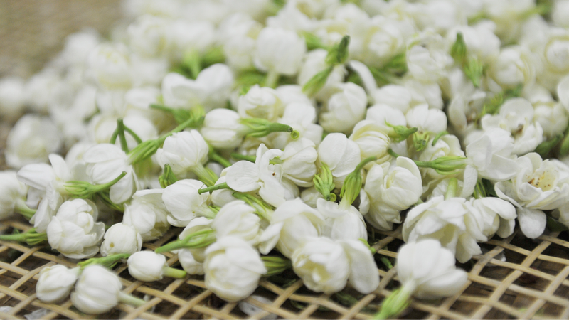 Discover_Fujian_Chinas_Tea_Powerhouse - Khabar Asia Discover Fujian: China's Tea Powerhouse