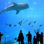 Discover_Hengqin__Extend_Your_Macao_Adventure