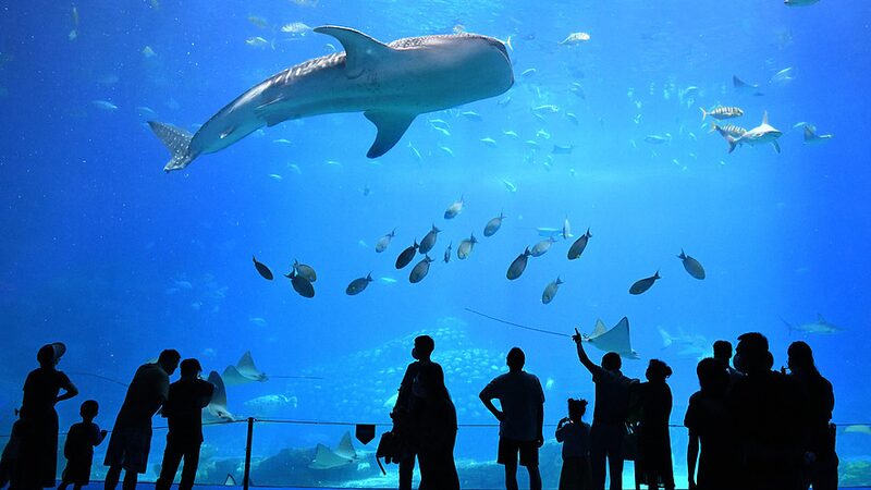 Discover_Hengqin__Extend_Your_Macao_Adventure - Khabar Asia Discover_Hengqin__Extend_Your_Macao_Adventure