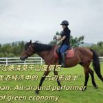 Discover_Moganshan__China_s_Green_Paradise_Combining_Nature_and_History_poster - Khabar Asia Discover_Moganshan__China_s_Green_Paradise_Combining_Nature_and_History video poster
