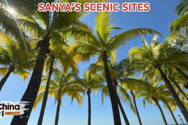 Discover_Sanya_s_Tropical_Paradise_at_the_6th_Hainan_Island_International_Film_Festival video poster