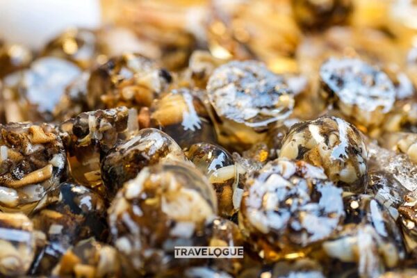 Discover ‘Tu Sun Dong’: Xiamen’s Unique Sandworm Jelly Delicacy Discover 'Tu Sun Dong': Xiamen's Unique Sandworm Jelly Delicacy