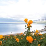 Discover Xinjiang's Sayram Lake: The Last Teardrop of the Atlantic