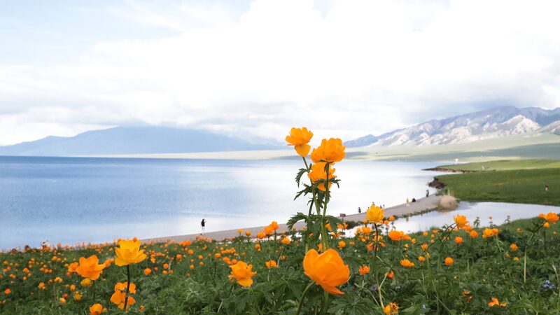 Discover_Xinjiangs_Sayram_Lake_The_Last_Teardrop_of_the_Atlantic - Khabar Asia Discover Xinjiang's Sayram Lake: The Last Teardrop of the Atlantic