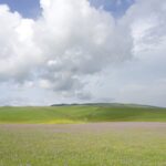 Discover the Enchanting Kalajun Grassland in Xinjiang's Summer Splendor video poster