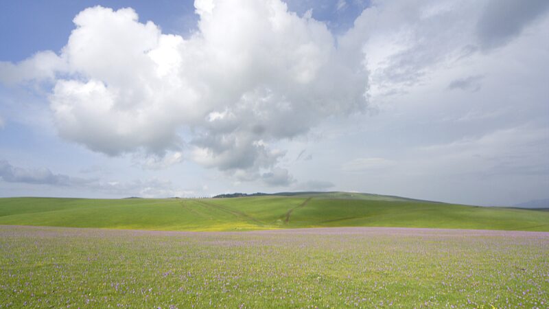 Discover_the_Enchanting_Kalajun_Grassland_in_Xinjiangs_Summer_Splendor_poster - Khabar Asia Discover the Enchanting Kalajun Grassland in Xinjiang's Summer Splendor video poster