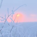 Discover_the_Enchanting_Rime_of_Arxan_City__A_Winter_Fairyland_in_Northeast_China video poster