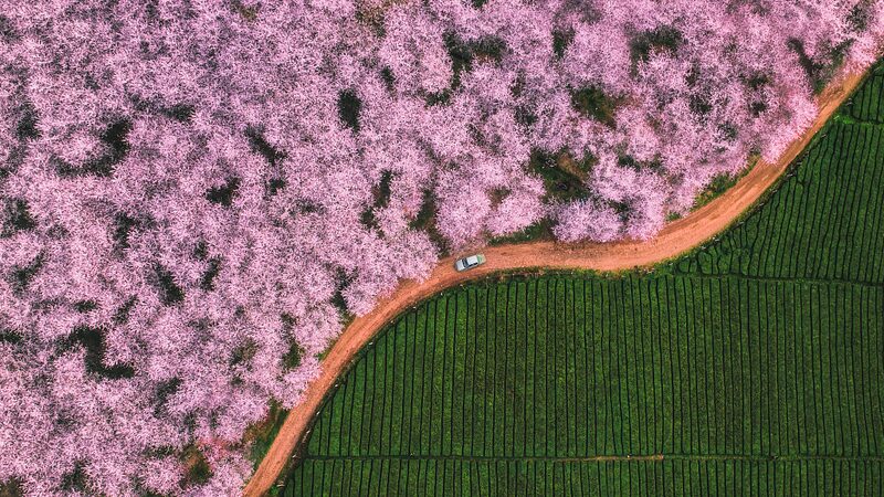 Discover_the_Enchanting_Spring_Landscapes_Across_China - Khabar Asia Discover the Enchanting Spring Landscapes Across China