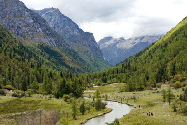 Discover the Hidden Gem of Muluozi Campsite in Sichuan’s Changping Valley Discover the Hidden Gem of Muluozi Campsite in Sichuan's Changping Valley video poster