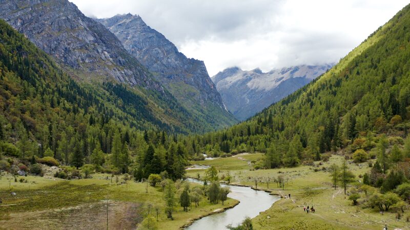 Discover_the_Hidden_Gem_of_Muluozi_Campsite_in_Sichuans_Changping_Valley_poster - Khabar Asia Discover the Hidden Gem of Muluozi Campsite in Sichuan's Changping Valley video poster