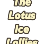 Discover the Lotus Seed Popsicles of China's Wuyi Mountains video poster