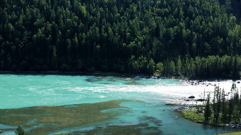 Discover_the_Majestic_Beauty_of_Wolong_Bay_in_Xinjiangs_Kanas_Region_poster - Khabar Asia Discover the Majestic Beauty of Wolong Bay in Xinjiang's Kanas Region video poster