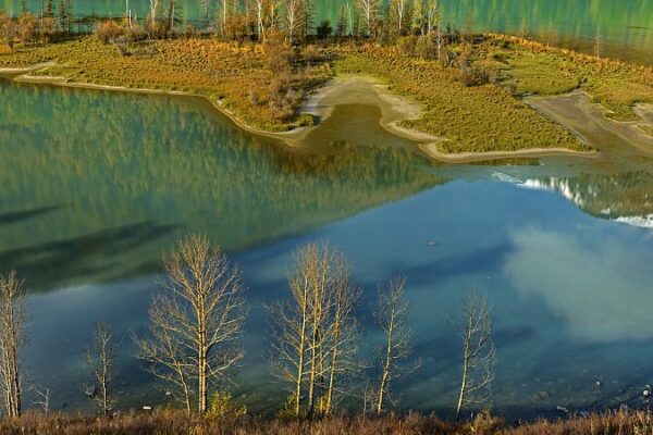 Discover the Majestic Beauty of Wolong Bay in Xinjiang’s Kanas Scenic Area Discover the Majestic Beauty of Wolong Bay in Xinjiang's Kanas Scenic Area