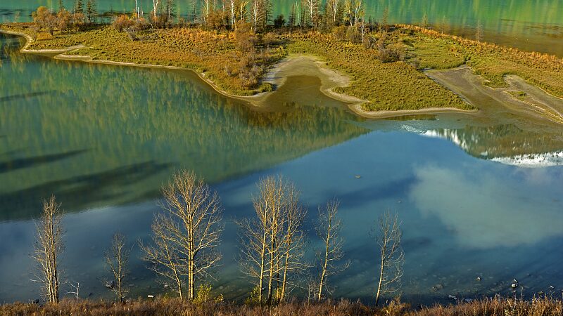 Discover_the_Majestic_Beauty_of_Wolong_Bay_in_Xinjiangs_Kanas_Scenic_Area - Khabar Asia Discover the Majestic Beauty of Wolong Bay in Xinjiang's Kanas Scenic Area