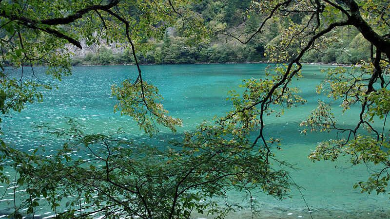Discover_the_Majestic_Lakes_and_Waterfalls_of_Shuzheng_Valley_in_Jiuzhaigou_poster - Khabar Asia Discover the Majestic Lakes and Waterfalls of Shuzheng Valley in Jiuzhaigou video poster