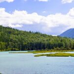 Discover the Majestic Wolong Bay in Xinjiang's Kanas Scenic Area video poster