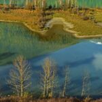 Discover the Majestic Wolong Bay in Xinjiang's Kanas Scenic Area video poster