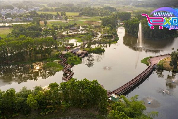 Discover the Pristine Beauty of Tunchang Wenzan Ecological Wetland Park in Hainan Discover the Pristine Beauty of Tunchang Wenzan Ecological Wetland Park in Hainan video poster
