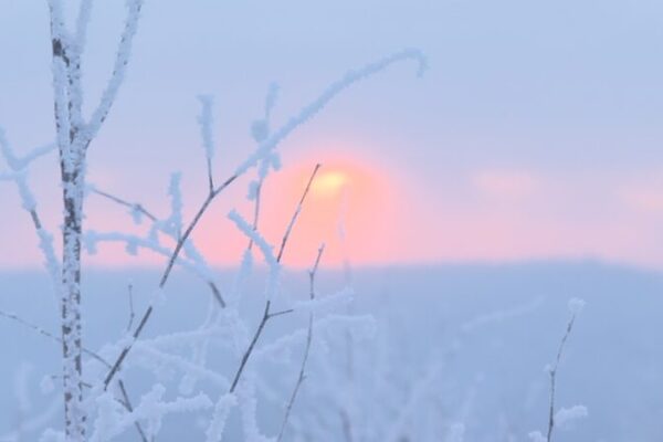 Discover the Rime Fairyland of Arxan City, NE China’s Winter Wonderland Discover_the_Rime_Fairyland_of_Arxan_City__NE_China_s_Winter_Wonderland video poster