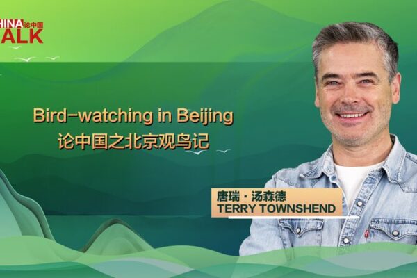 Discovering Beijing’s Urban Wildlife: Bird-Watching Through a Conservationist’s Eyes Discovering Beijing's Urban Wildlife: Bird-Watching Through a Conservationist's Eyes