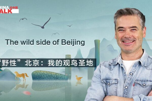 Discovering Beijing’s Wild Side: A Birdwatcher’s Paradise Discovering Beijing's Wild Side: A Birdwatcher's Paradise video poster