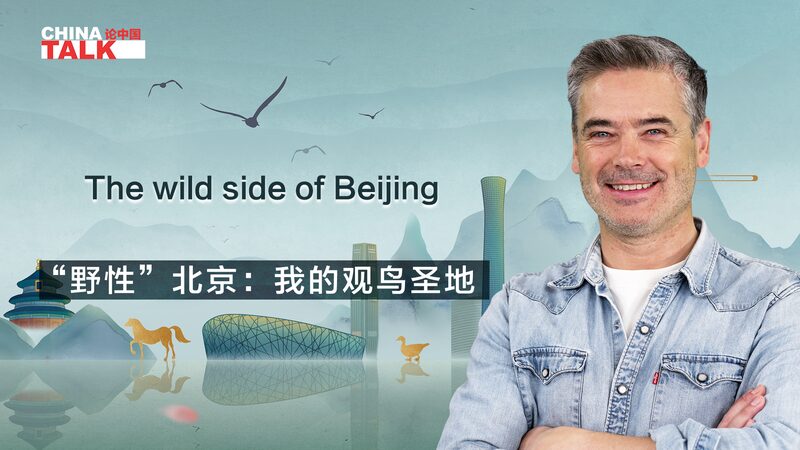 Discovering Beijing's Wild Side: A Birdwatcher's Paradise video poster