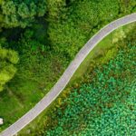 Discovering_Changchun_s_Forest_Park__A_Serene_Retreat_Amid_Lush_Greenery