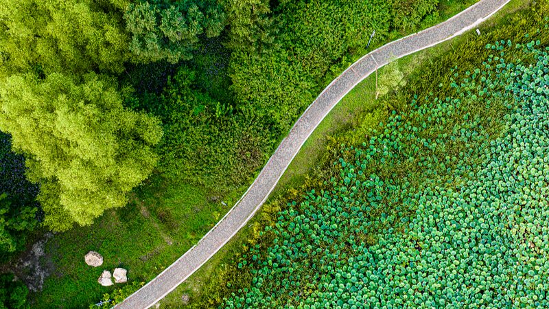 Discovering_Changchun_s_Forest_Park__A_Serene_Retreat_Amid_Lush_Greenery - Khabar Asia Discovering_Changchun_s_Forest_Park__A_Serene_Retreat_Amid_Lush_Greenery