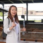 Discovering China's Pottery Legacy at Jingdezhen Imperial Kiln Museum video poster