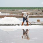 Discovering_Quanzhou_s_Timeless_Salt_Making_Craft