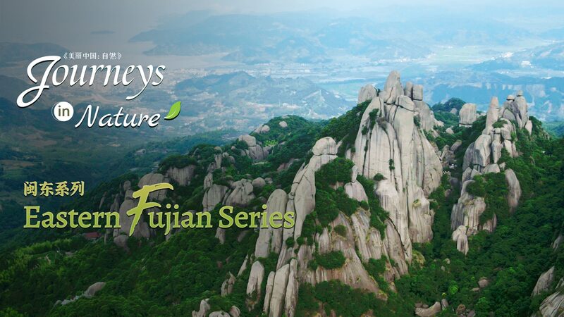 Discovering_Taimu_Mountain_Chinas_Fairyland_on_the_Sea_poster - Khabar Asia Discovering Taimu Mountain: China's "Fairyland on the Sea" video poster