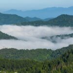 Discovering Wuzhi Mountain: Hainan's Majestic Five-Finger Peak video poster