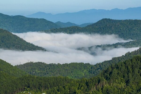 Discovering Wuzhi Mountain: Hainan’s Majestic Five-Finger Peak Discovering Wuzhi Mountain: Hainan's Majestic Five-Finger Peak video poster