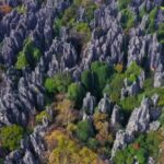 Discovering Yunnan's Stone Forest: China's Natural Wonder and Its Adaptable Wildlife video poster