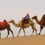 Documentary Retracing Marco Polo's Journey Premieres in London video poster