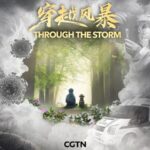 Documentary 'Through the Storm' Reflects on China's Three-Year COVID-19 Battle video poster
