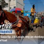 Donkey Carts Return to Gaza Streets as Fuel Shortages Bite Amid Conflict video poster