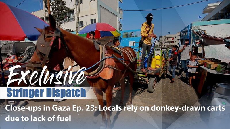 Donkey Carts Return to Gaza Streets as Fuel Shortages Bite Amid Conflict video poster