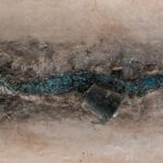 Dragon Artifacts Draw Crowds to Chinese Archaeological Museum During Spring Festival