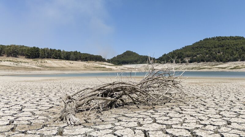 Drought_in_Sicily_Devastates_Grain_Fields_and_Livestock__Farmers_Struggle_to_Survive - Khabar Asia Drought_in_Sicily_Devastates_Grain_Fields_and_Livestock__Farmers_Struggle_to_Survive