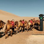 Dunhuang Camels Get Their Own Traffic Signals in World-First Initiative video poster