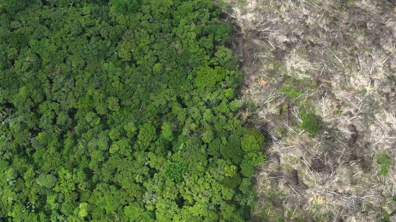 EU_Nations_Urge_Revisions_to_Upcoming_Anti-Deforestation_Law - Khabar Asia EU Nations Urge Revisions to Upcoming Anti-Deforestation Law
