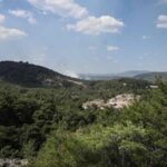 EU's Landmark Nature Law Sets Global Precedent: Implications for Asia