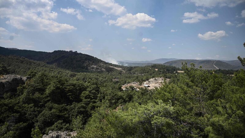 EU's Landmark Nature Law Sets Global Precedent: Implications for Asia