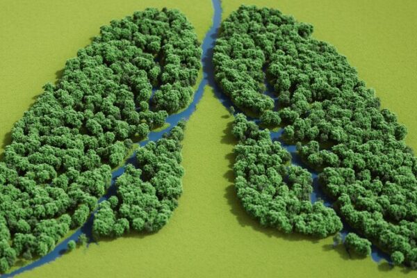 Early Screening and Management: China Boosts Fight Against COPD Early_Screening_and_Management__China_Boosts_Fight_Against_COPD