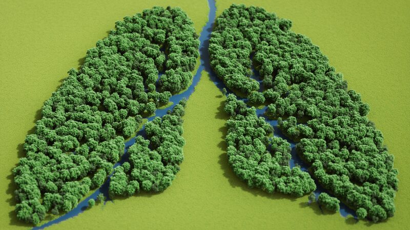 Early_Screening_and_Management__China_Boosts_Fight_Against_COPD - Khabar Asia Early_Screening_and_Management__China_Boosts_Fight_Against_COPD