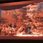 Echoes_of_Shang_Civilization__Unearthing_China_s_Oldest_Chariots_at_Yinxu