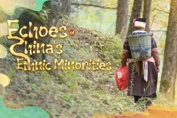 Echoes of the Gyalrong Zang People: Guardians of the Giant Panda Echoes_of_the_Gyalrong_Zang_People__Guardians_of_the_Giant_Panda video poster