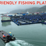 Eco-Friendly Aquaculture Thrives in Ningde's Sandu'ao video poster