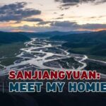 Eco_Guardians_of_Sanjiangyuan__Protecting_China_s_Wild_Heart video poster